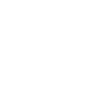 voice